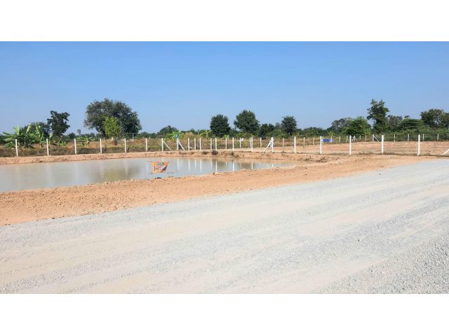 (โฉนด) ที่ดิน 600-800 ตรว.ละ 722 บ. รั้ว 4 ด้าน(ขุดบ่อ ทำสวนนา) ถนนหินคลุก น้ำประปาบาดาล ม.4 (ซอยวัดหนองกะมาน 1 กม.) ต.สระกระโจม อ.ดอนเจดีย์ จ.สุพรรณฯ