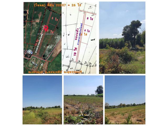 (โฉนด) ที่ดิน 600-800 ตรว.ละ 722 บ. รั้ว 4 ด้าน(ขุดบ่อ ทำสวนนา) ถนนหินคลุก น้ำประปาบาดาล ม.4 (ซอยวัดหนองกะมาน 1 กม.) ต.สระกระโจม อ.ดอนเจดีย์ จ.สุพรรณฯ