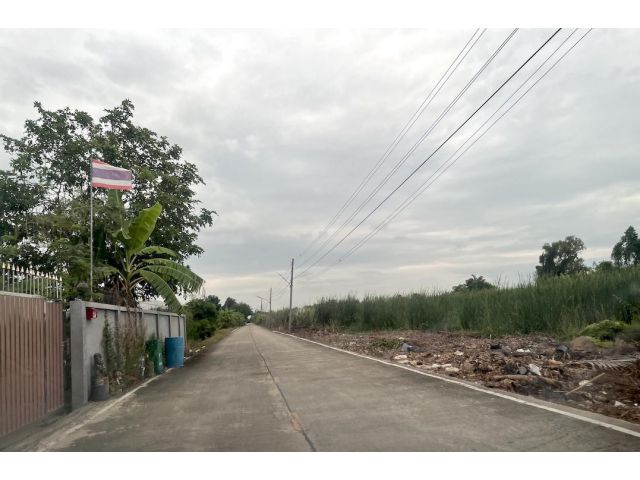 ขายที่ดิน 1 ไร่ คลอง 10 หนองเสือ ปทุมธานี