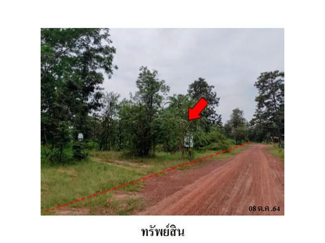 ขายที่ดินว่างเปล่า ต.โคกสูง อ.เมืองชัยภูมิ จ.ชัยภูมิ