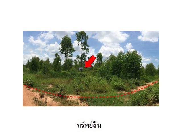 ขายที่ดินว่างเปล่า ถ.สายบ้านโป่งคองเหนือ-บ้านเขว้า อ.เมือง จ.ชัยภ