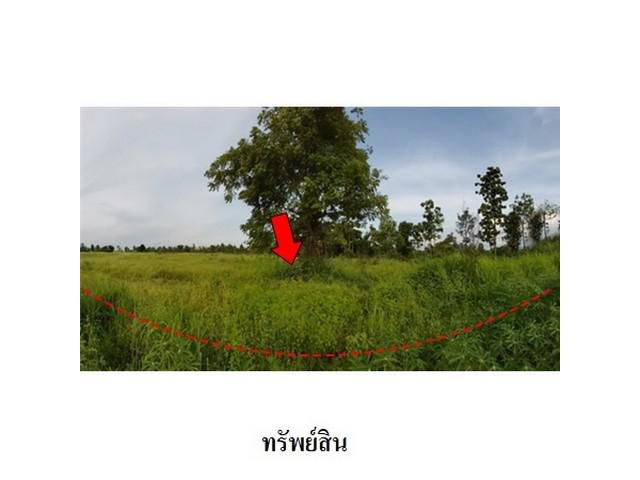 ขายที่ดินว่างเปล่า ถ.สายชัยภูมิ-หนองบัวแดง ต.รอบเมือง จ.ชัยภูมิ
