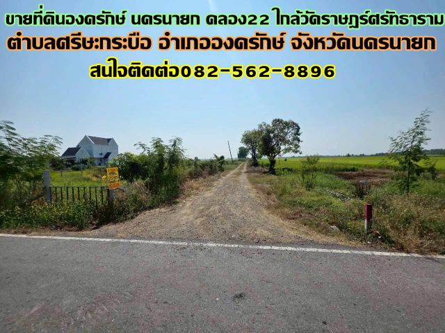 ขายที่ดินองครักษ์ นครนายก คลอง22 ใกล้วัดราษฎร์ศรัทธาราม