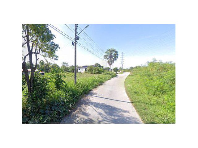 ขายที่ดิน 26 ไร่ ผังสีม่วงเข้ม ต.บางนาง อ.พานทอง จ.ชลบุรี