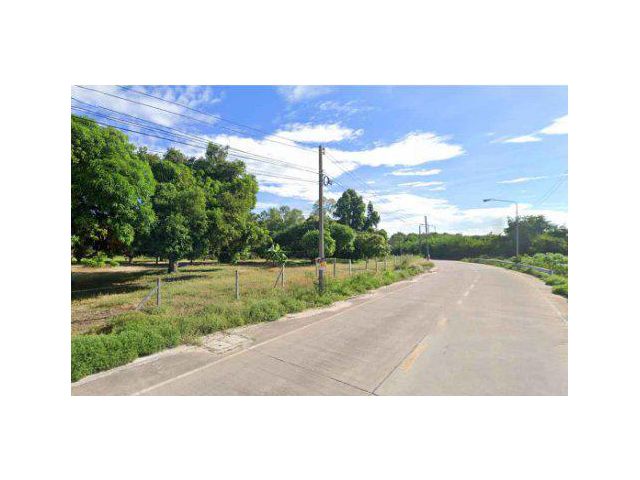 ขายที่ดิน 17 ไร่ ถนนประชารัตน์ ผังสีม่วง ใกล้นิคมมาบตาพุด ต.มาบตาพุด อ.เมืองระยอง จ.ระยอง