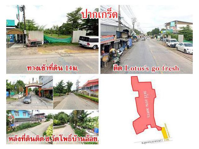 ที่ดิน ซอยวัดกู้ ปากเกร็ด ใกล้แม่น้ำเจ้าพระยา เนื้อที่ 23 ไร่กว่า บรรยากาศร่มรื่น เดินทางสะดวก