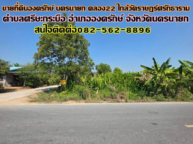 ขายที่ดินองครักษ์ นครนายก คลอง22 ใกล้วัดราษฎร์ศรัทธาราม