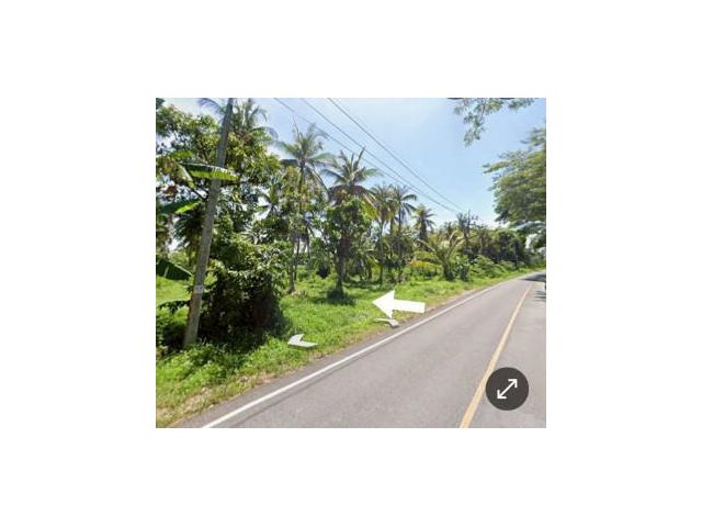 ขายที่ดิน 1 ไร่ ราคาถูก ใกล้ตลาดนาวง ต.ท่าซัก จ.นครศรีธรรมราช