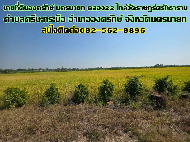 ขายที่ดิน 2แปลง องครักษ์ นครนายก คลอง22 ใกล้วัดราษฎร์ศรัทธาราม