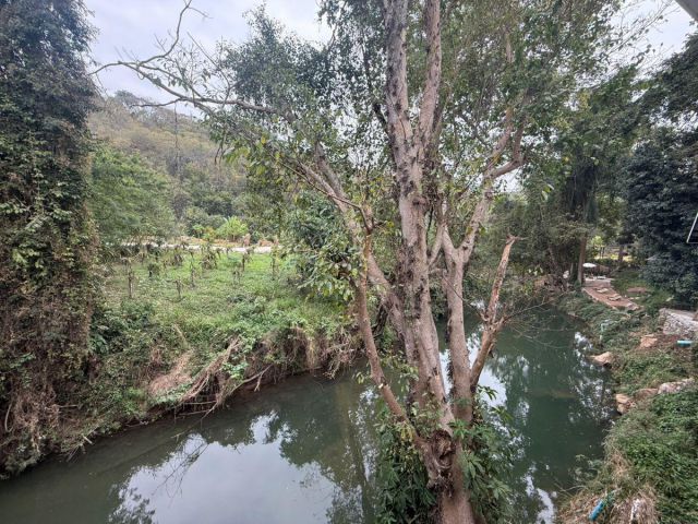 ที่ดิน 136 วา ติดน้ำลำตะคอง ในตลาดปากช่อง ขายวาละ 3 หมื่นบาท