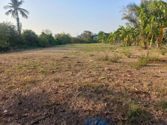 L1421 ขายที่ดินสวยทำเลดี 227 ตรว ติดถนนสาธารณะ 3 ด้าน เมืองราชบุรี