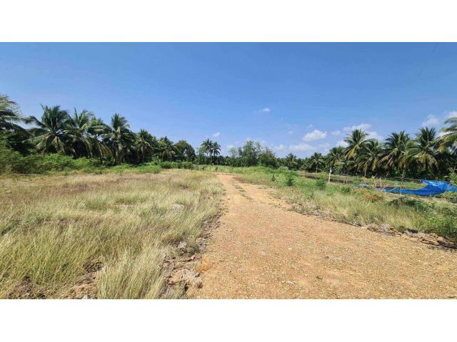 L1422 ขายที่ดินถมแล้ว 1 ไร่ อัมพวา สมุทรสงคราม