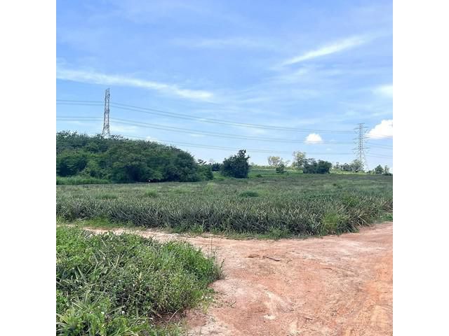 ขายที่ดินผังม่วงนิคมพัฒนาระยอง ขายที่ดินเนื้อที่ 23-2-12 ไร่