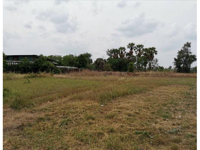 ให้เช่าที่ดินนาป่าชลบุรี ให้เช่าเหมาที่ดินใกล้มอเตอร์เวย์ 2 ไร่