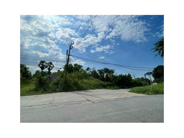 ขายที่ดินแปลงใหญ่ 16-1-40 ไร่ เมืองปทุมธานี ทำเลศักยภาพ ใกล้ถนนใหญ่ ใกล้แม่น้ำเจ้าพระยา#LB07 – 001154