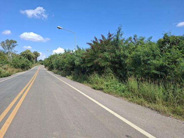 32 ไร่โฉนด ติดถนนลาดยางไร่ละแสนกว่า ถูกมาก อ.ท่าลี่ วิวสวยบรรยากาศดี