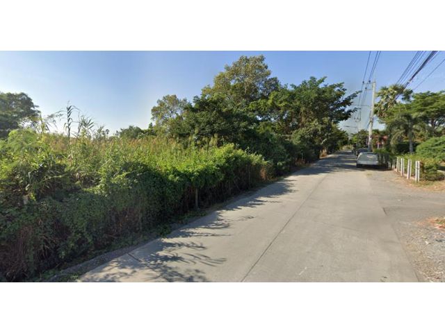 ขายที่ดิน 20 ไร่ ถนนสามโคก-ปทุม สาย3111 ใกล้ไปรษณีย์สามโคก อ.สามโคก จ.ปทุมธานี