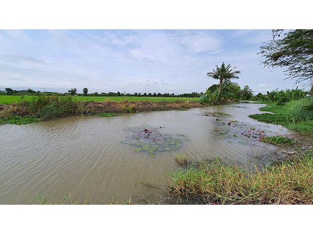ฮวงจุ้ยดีเยี่ยมริมน้ำคลองธรรมชาติ วิวท้องทุ่ง 360 องศา แปลงเล็ก ราคาถูก ใกล้ ม.เกษตรกำแพงแสน