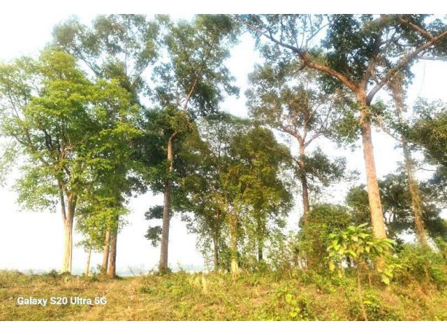 ขายที่ดินติดแม่น้ำโขง