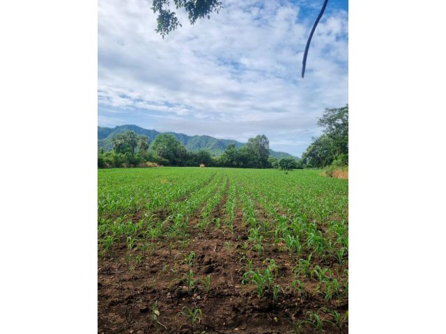 เสนอขายที่ดินพร้อมบ้านพักอาศัยและทำพืชการเกษตร  เนื้อที่ 22 ไร่กว่าๆ ตำบลทับกวาง อำเภอแก่งคอย จังหวัดสระบุรี