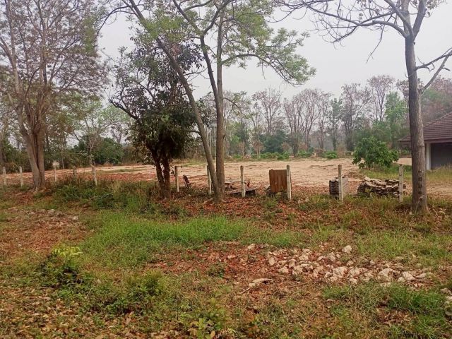 ขายที่ดิน 40 ไร่ 0 งาน 67.5 ตร.ว. ติดถนนหมายเลข 1186 ใกล้กรมทหารพรานที่ 31 พะเยา