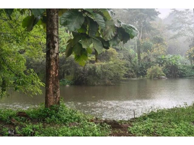 ขายที่สวนเชียงดาวติดลำธารภูเขาเอกสารนส3ราคาถูก