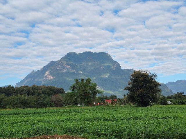 ขายที่ดินตำบลเชียงดาววิวดอยหลวงโฉนด