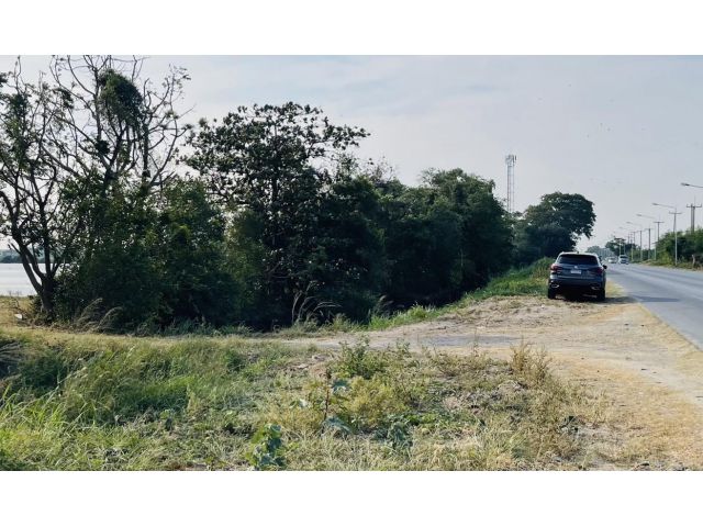 ขายที่ดินติดถนนใหญ่ พานทอง-หัวไผ่