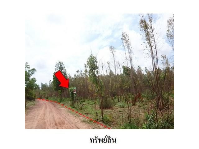 ขายที่ดินว่างเปล่า ตำบลนาฝาย อำเภอ เมืองชัยภูมิ จังหวัด ชัยภูมิ