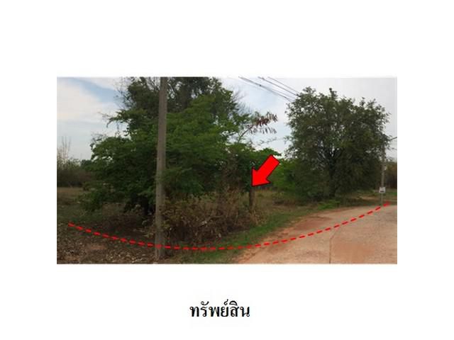 ขายที่ดินว่างเปล่า ต.รอบเมือง อำเภอ เมืองชัยภูมิ จังหวัด ชัยภูมิ