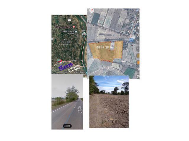 ขายด่าน! ที่ดินถนน อจ.3006 อ.ชานุมาน จ.อำนาจเจริญ 43.3 ไร่