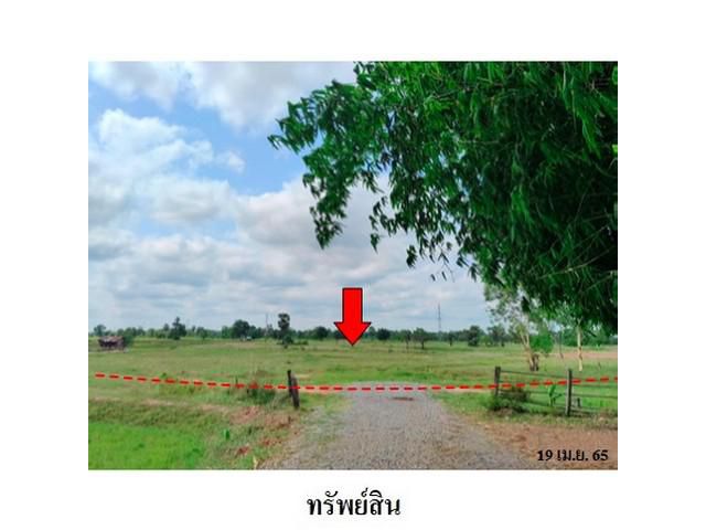 ขายที่ดินว่างเปล่า ต.รอบเมือง อำเภอ เมืองชัยภูมิ