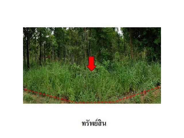 ขายที่ดินว่างเปล่า ต.รอบเมือง อำเภอ เมืองชัยภูมิ จังหวัด ชัยภูมิ