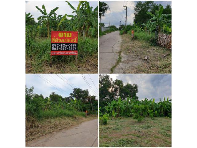 ขายที่ดิน ราคาถูกกว่าคนอื่น คลอง3/คลองหลวง 1ไร่175วา เพียง 5.4ล้าน