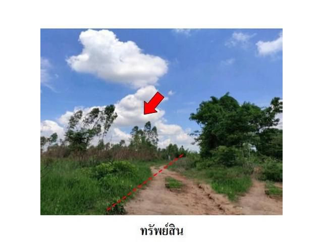 ขายที่ดินว่างเปล่า ต.ชีลอง อำเภอ เมืองชัยภูมิ จังหวัด ชัยภูมิ