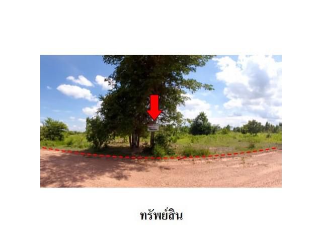 ขายที่ดินว่างเปล่า ต.โคกสูง อ.เมืองชัยภูมิ จังหวัด ชัยภูมิ