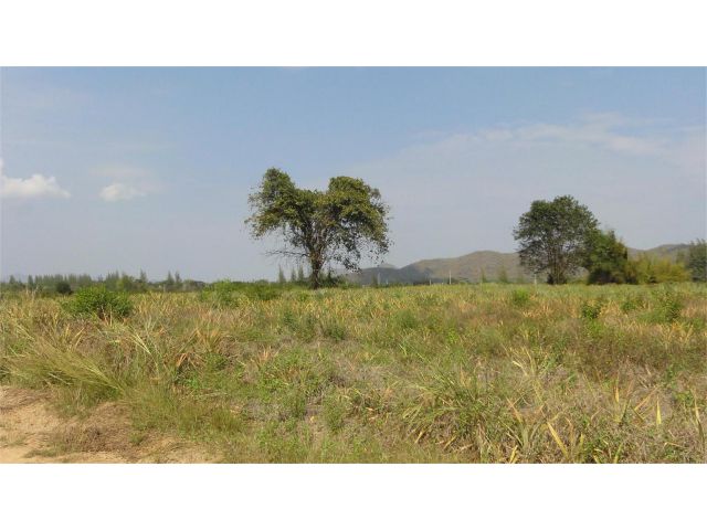 ขายที่ดืน แปลงใหญ่ ทำเลสวย หัวหิน 56 ไร่ ูที่ดินติดถนน 4 เลนส์ ถนนเพชรเกษม สายเลี่ยงเมืองชะอำ-ปราณบุรี หน้ากว้างประมาณ 150 เมตร