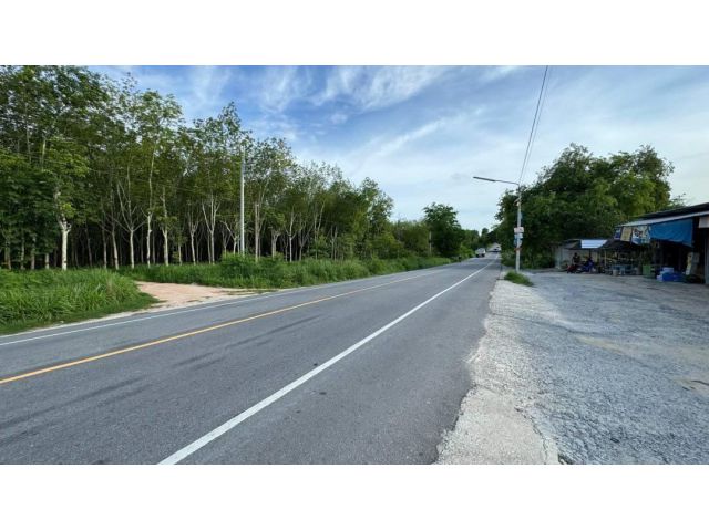 ขายที่ดินระยอง นิคมพัฒนา 48-3-72 ไร่ พื้นที่สีม่วงลาย ใกล้นิคมอมตะซิตี้โซนจีน เหมาะสำหรับทำ โรงงาน โกดัง คลังสินค้า บ้าน