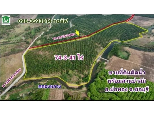 ขายที่ดินชลบุรี บ่อทอง ต.วัดสุวรรณ (สวนปาล์ม)ติดคลองหลวง