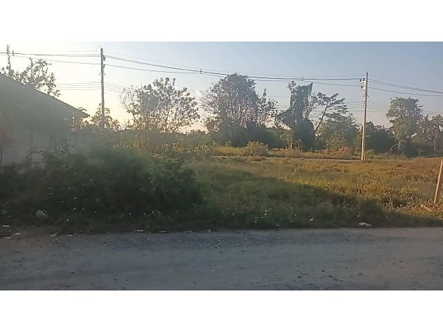 ขายที่ดิน 100 ตรว.ถูกมากเพียง 6 แสนโอนฟรี ต.เชิงดอย ใกล้เมือง ติดถนนน้ำไฟถึงมีวิวดอยให้ชมปลูกบ้านได้เลย น้ำไม่ท่วมน