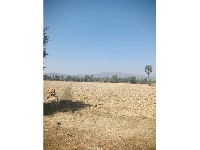 L1429 ขายที่นาทำเลดี 3 ไร่ บ้านลาด เพชรบุรี