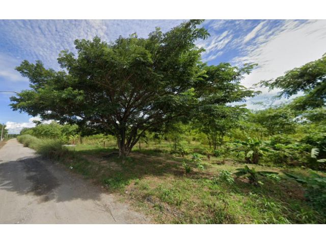 PK839ให้เช่าที่ดิน 13 ไร่ พื้นที่แหลมฉบัง - เครือสหพัฒน์