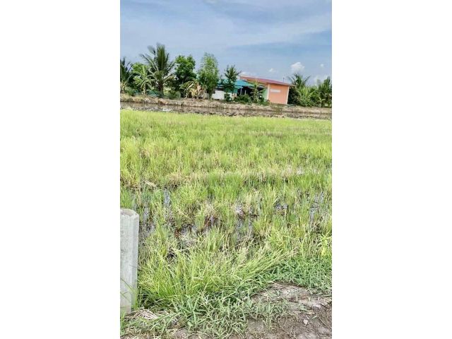 L1430 ขายที่ดินสวยถมแล้ว 1 ไร่ บางน้ำเปรี้ยว ฉะเชิงเทรา