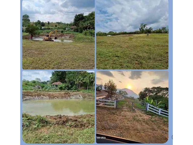 ️ขายที่ดินเขาใหญ่ อำเภอปากช่อง จังหวัดนครราชสีมา