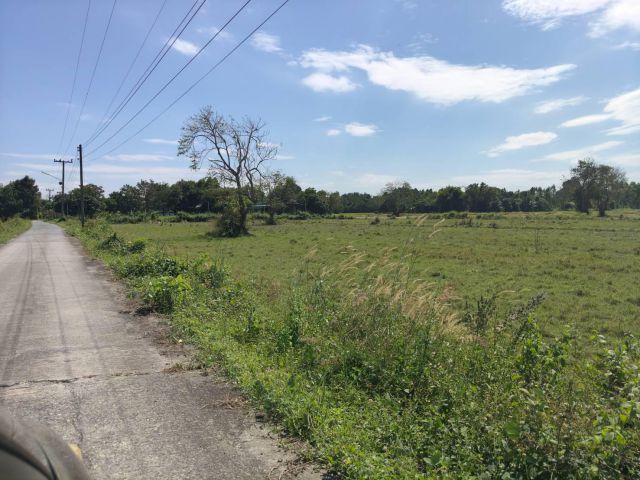 แบ่งขายที่ดินที่นา เนื้อที่ 1 ไร่ ติดถนนคอนกรีต มีไฟฟ้าประปาเพื่อนบ้าน