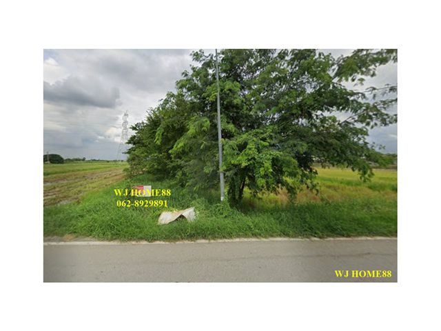 ขายที่ดิน 9 ไร่ ใกล้ตลาดกลางกุ้งอยุธยา