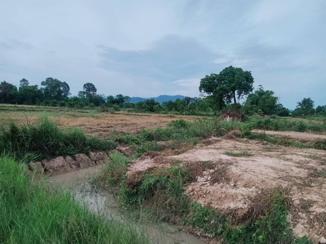 ขายที่ดิน 2 ไร่ 2 งาน 50 ตรว.ถมแล้วมีไฟฟ้าประปาเพื่อนบ้านถนนสาธารณะครับ