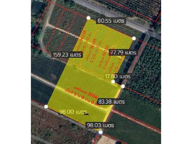 ขายที่ดินนิคมพัฒนาระยอง ขายที่ดินระยองทำเลดีเนื้อที่ 9 ไร่