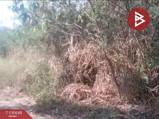 ขายที่ดิน เนื้อที่ 1 งาน 33 ตร.วา ปากช่อง นครราชสีมา