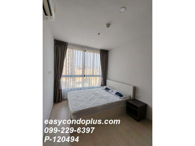 P-120494 ให้เช่า คอนโดเอลลิโอ เดล เนสท์ อุดมสุข แขวงบางนาเหนือ เขตบางนา กรุงเทพมหานคร พร้อมอยู่ ราคาถูก